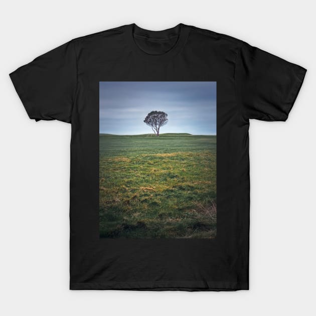 lone tree in the field T-Shirt by psychoshadow